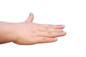 short finger brachymetacarpy in Tunisia