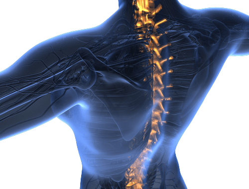 Spine surgery Tunisia price cheap price