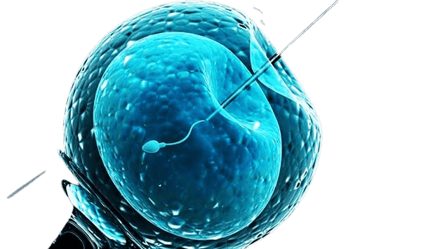 In Vitro Fertilization - IVF in Tunisia