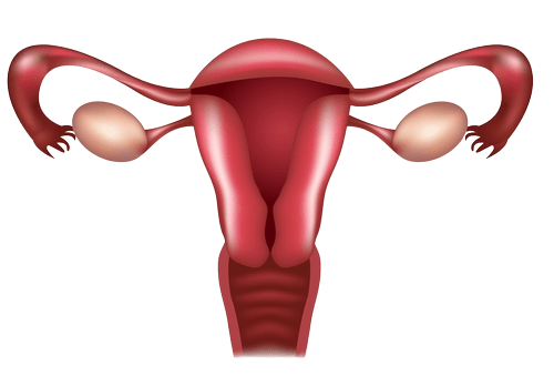 Hysterectomy - uterus removal in Tunisia
