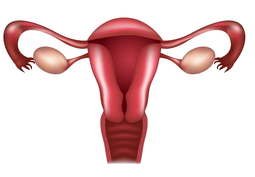 Total hysterectomy in Tunisia at a cheap price