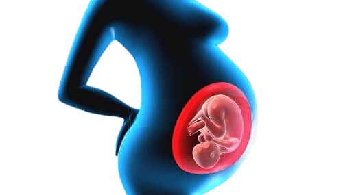 Therapeutic termination of pregnancy or ITG in Tunisia at attractive prices