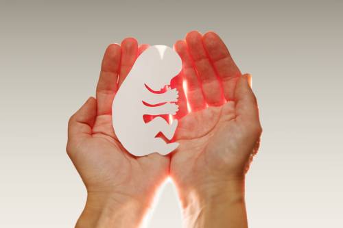 Voluntary termination of pregnancy or abortion in Tunisia at attractive prices